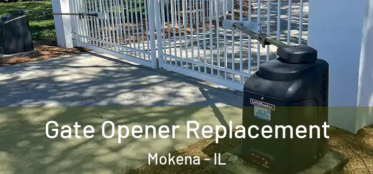 Gate Opener Replacement Mokena - IL