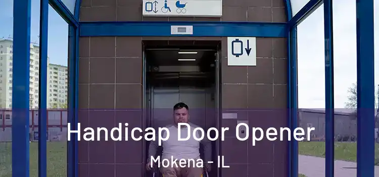 Handicap Door Opener Mokena - IL