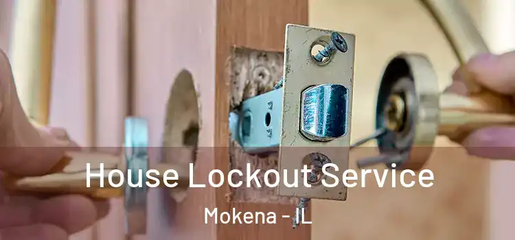 House Lockout Service Mokena - IL