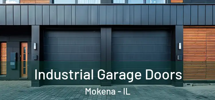  Industrial Garage Doors Mokena - IL