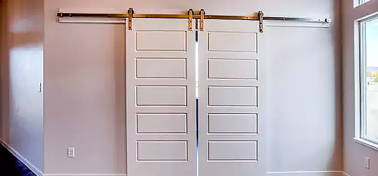 Glass Barn Door with Installation Hardware Kit Mokena