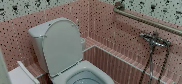 Meeting Diverse Needs With Accessible Restroom Solutions in Mokena, IL