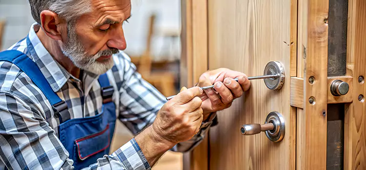 Mortise Replacement Lock Mokena
