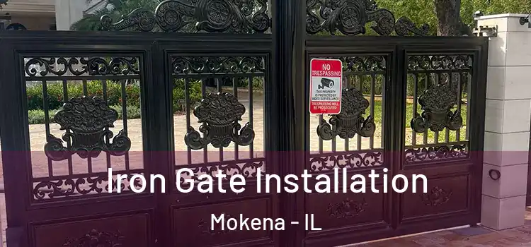 Iron Gate Installation Mokena - IL
