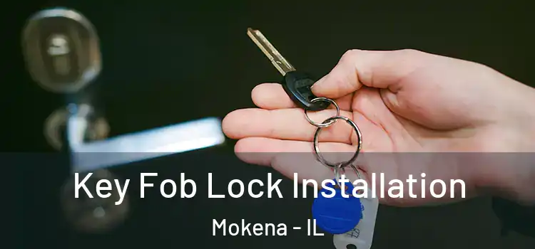 Key Fob Lock Installation Mokena - IL