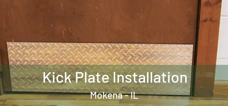 Kick Plate Installation Mokena - IL