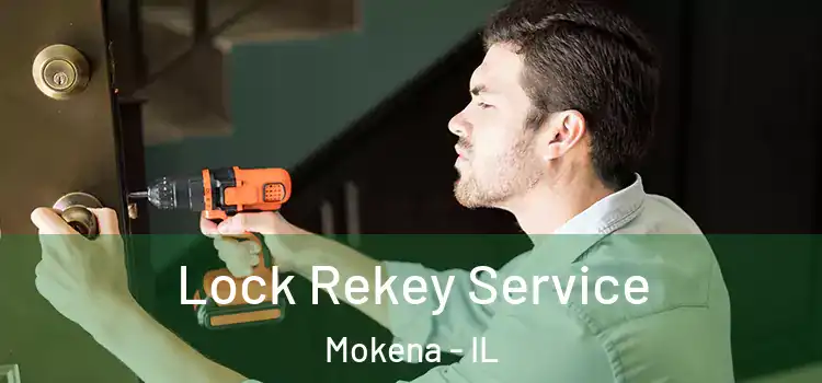 Lock Rekey Service Mokena - IL