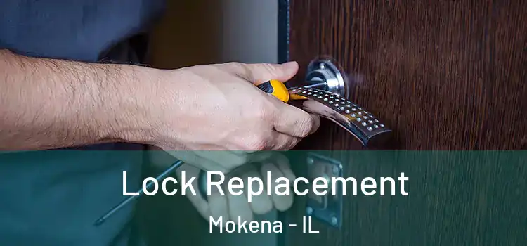 Lock Replacement Mokena - IL