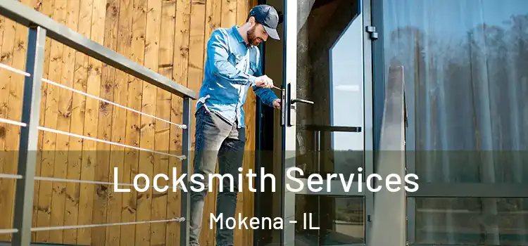 Locksmith Services Mokena - IL