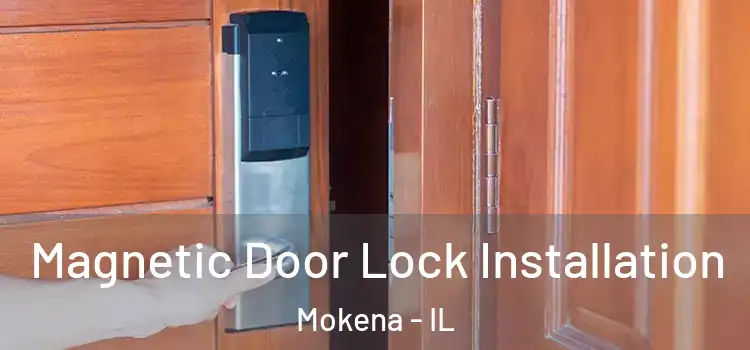  Magnetic Door Lock Installation Mokena - IL
