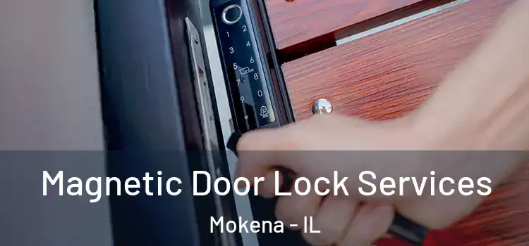 Magnetic Door Lock Services Mokena - IL
