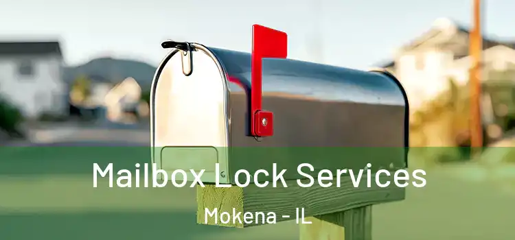 Mailbox Lock Services Mokena - IL