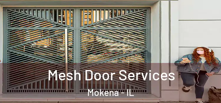 Mesh Door Services Mokena - IL