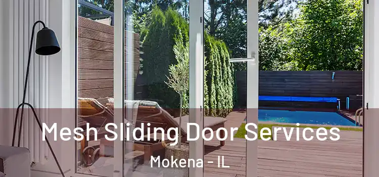 Mesh Sliding Door Services Mokena - IL