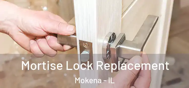 Mortise Lock Replacement Mokena - IL