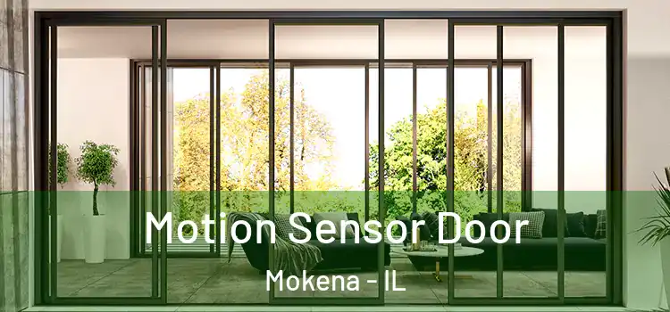 Motion Sensor Door Mokena - IL
