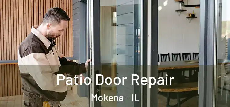 Patio Door Repair Mokena - IL