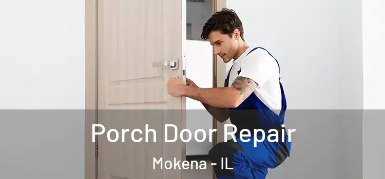  Porch Door Repair Mokena - IL