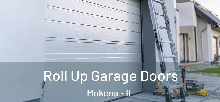 Roll Up Garage Doors Mokena - IL