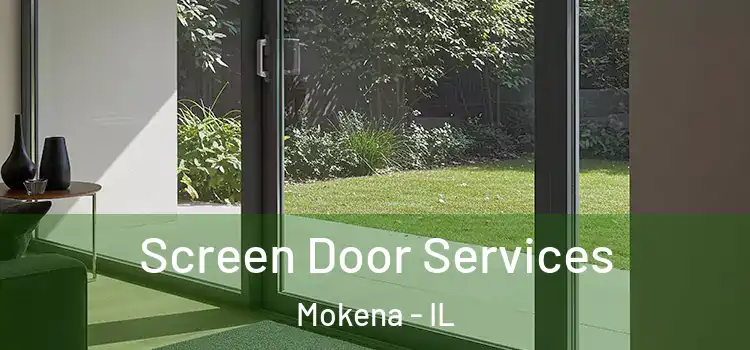 Screen Door Services Mokena - IL