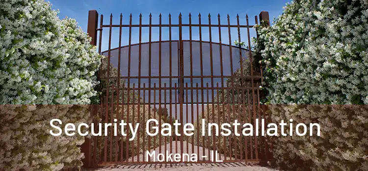 Security Gate Installation Mokena - IL