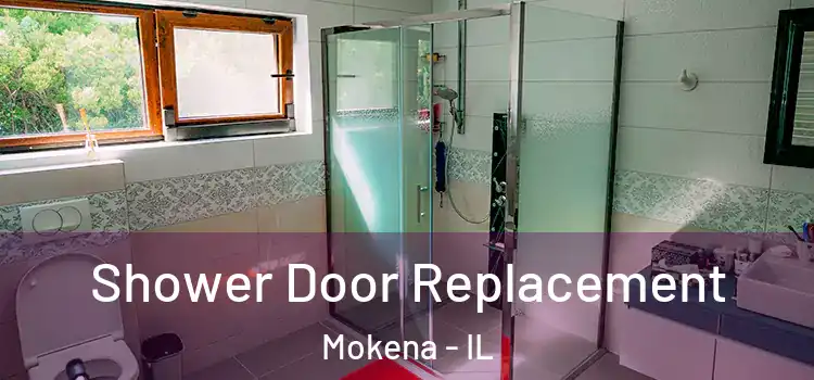 Shower Door Replacement Mokena - IL