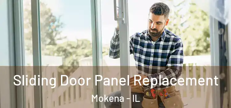  Sliding Door Panel Replacement Mokena - IL