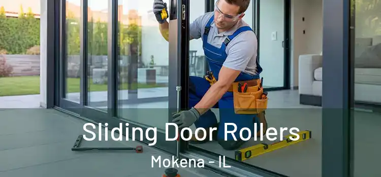 Sliding Door Rollers Mokena - IL