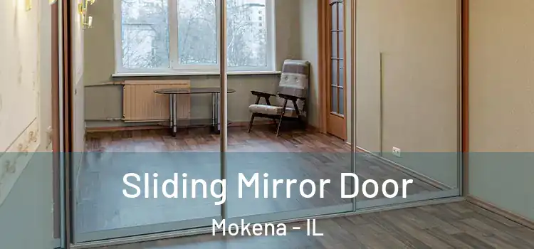  Sliding Mirror Door Mokena - IL