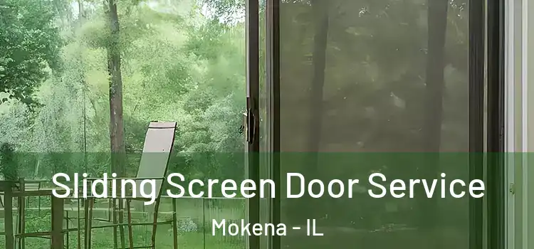Sliding Screen Door Service Mokena - IL