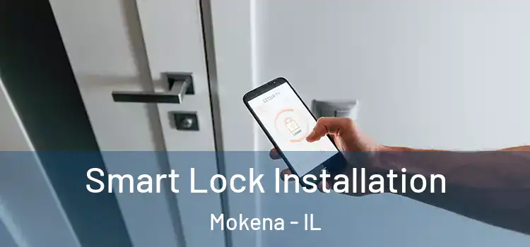 Smart Lock Installation Mokena - IL