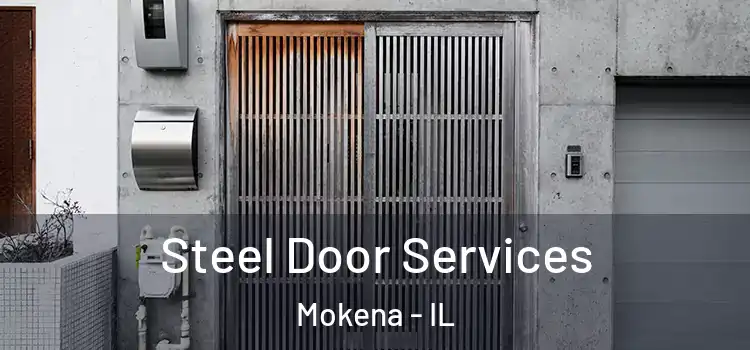 Steel Door Services Mokena - IL