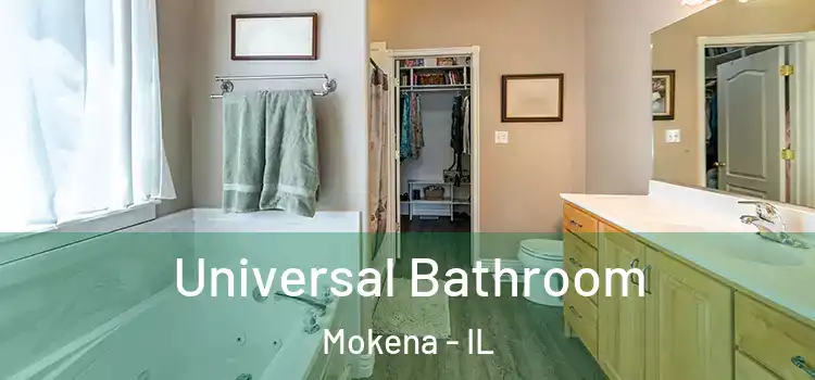 Universal Bathroom Mokena - IL