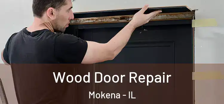 Wood Door Repair Mokena - IL
