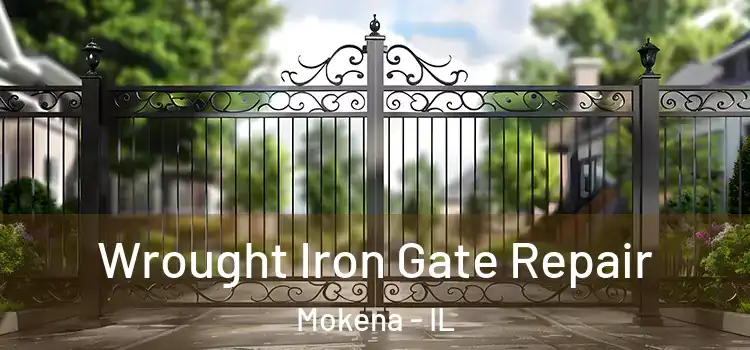 Wrought Iron Gate Repair Mokena - IL